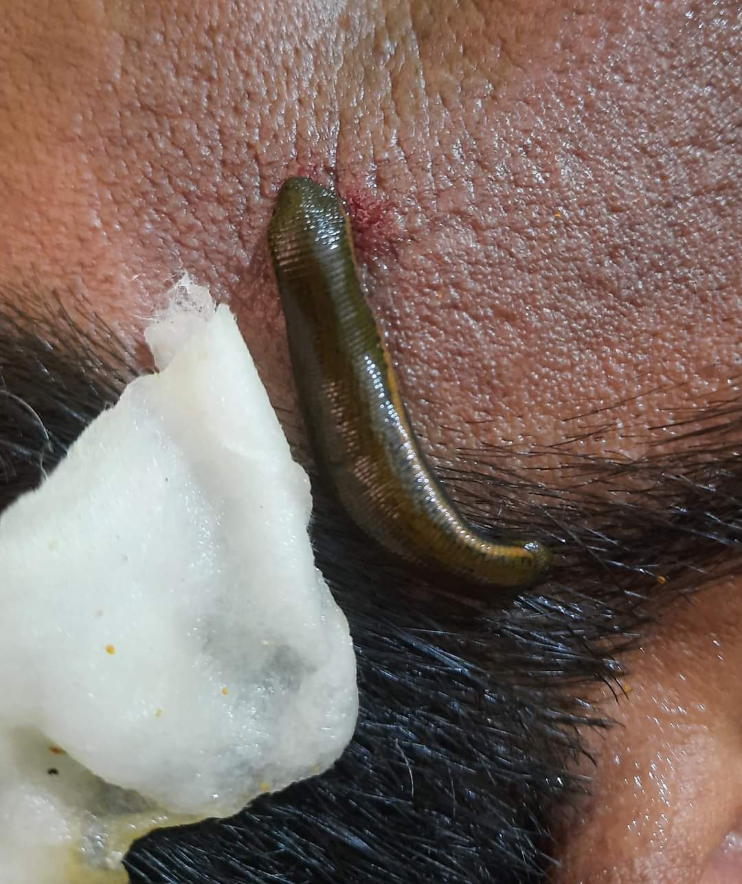 Thulasi Ayur Vaidhyasala Kuzhiyamparamba